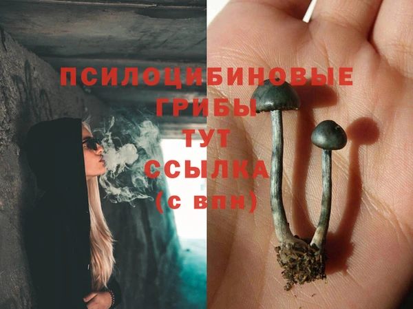 кокаин премиум Алексеевка