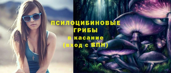 прущая мука Алзамай