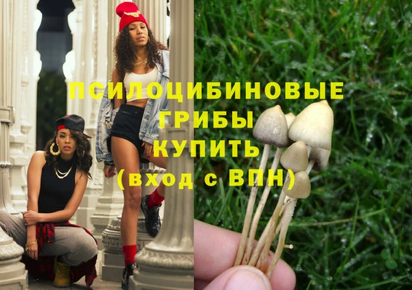 прущая мука Алзамай